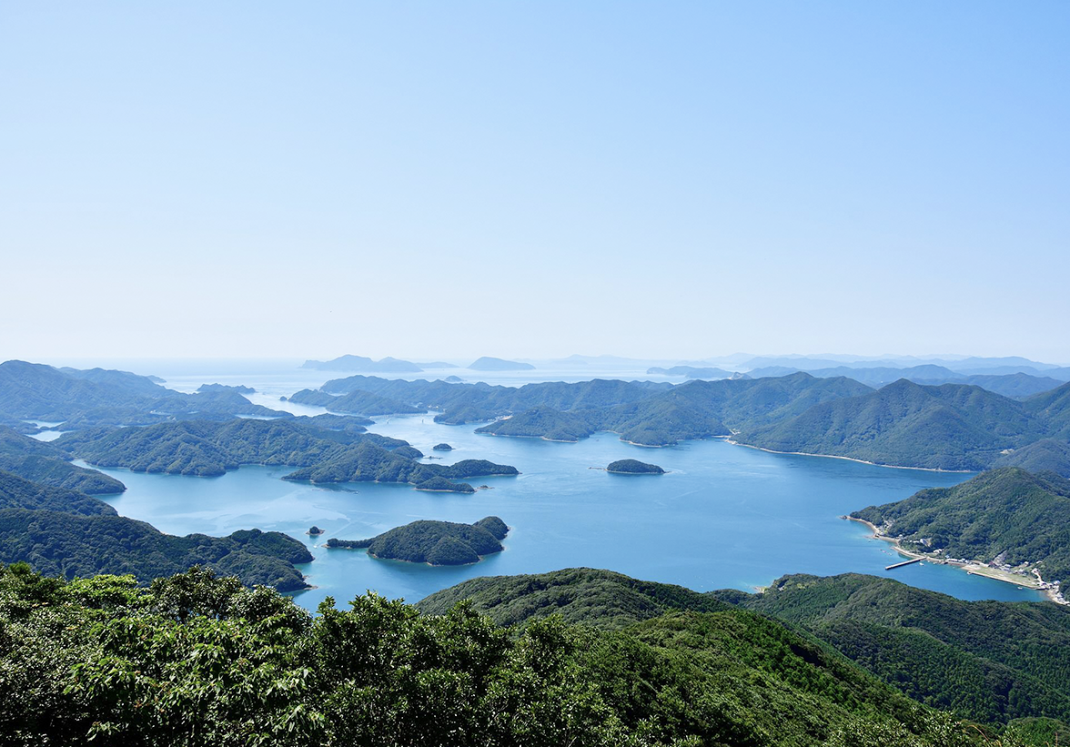 写真：山王山から見下ろした広大な風景