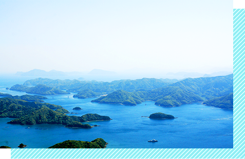 写真：山王山の風景