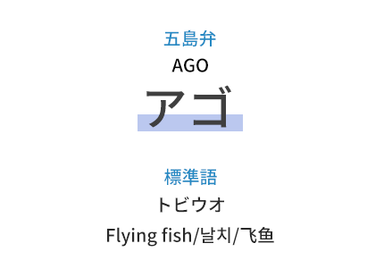 五島弁：アゴ（AGO） 、標準語：トビウオ