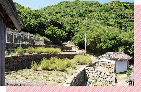 写真：頭ヶ島の田尻地区