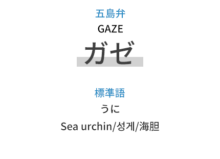 五島弁：ガゼ（GAZE）、標準語：うに