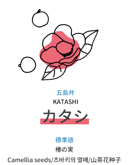 五島弁：カタシ（KATASHI）、標準語：椿の実