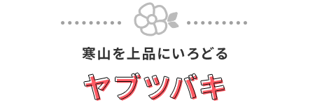 6good：寒山を上品にいろどるヤブツバキ