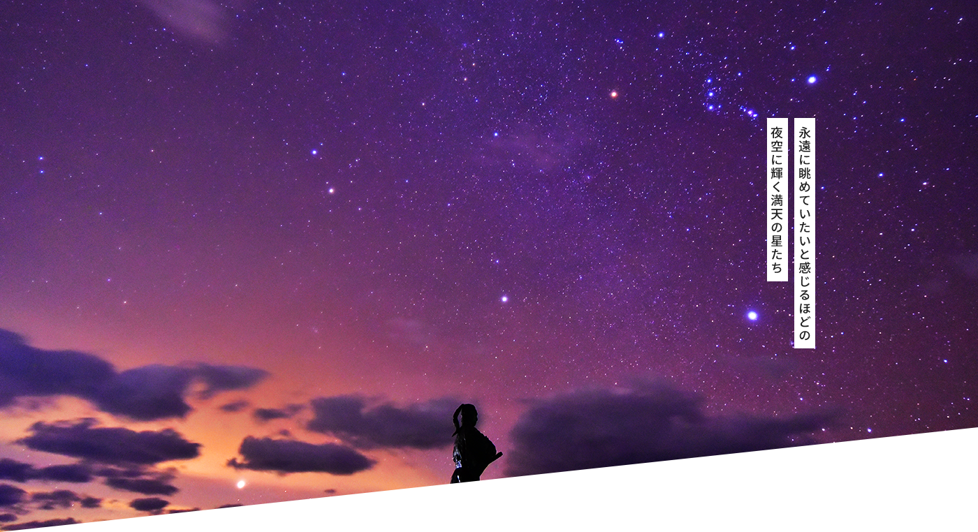 永遠に眺めていたいと感じるほどの夜空に輝く満天の星たち